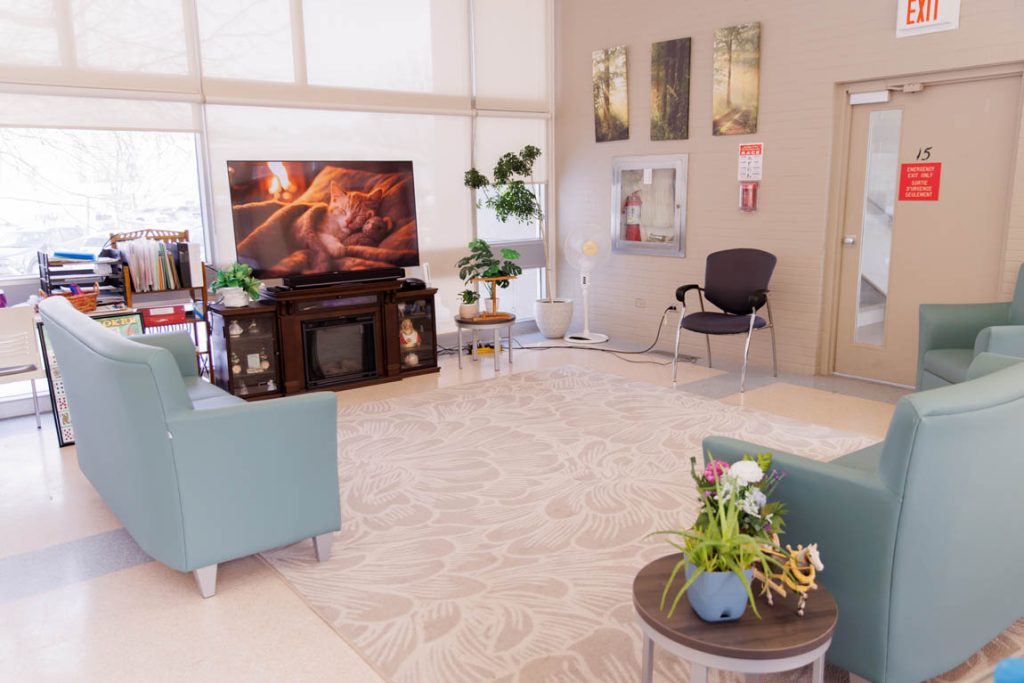 seating area within Simkin Centre, with blue lounge and chair, a large television, and leafy green plants on end tables